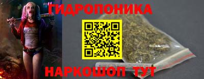 спиды Кингисепп