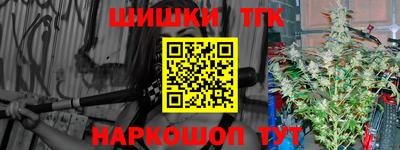 спиды Кингисепп