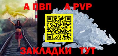 спиды Кингисепп