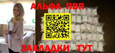 спиды Кингисепп