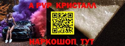 спиды Кингисепп