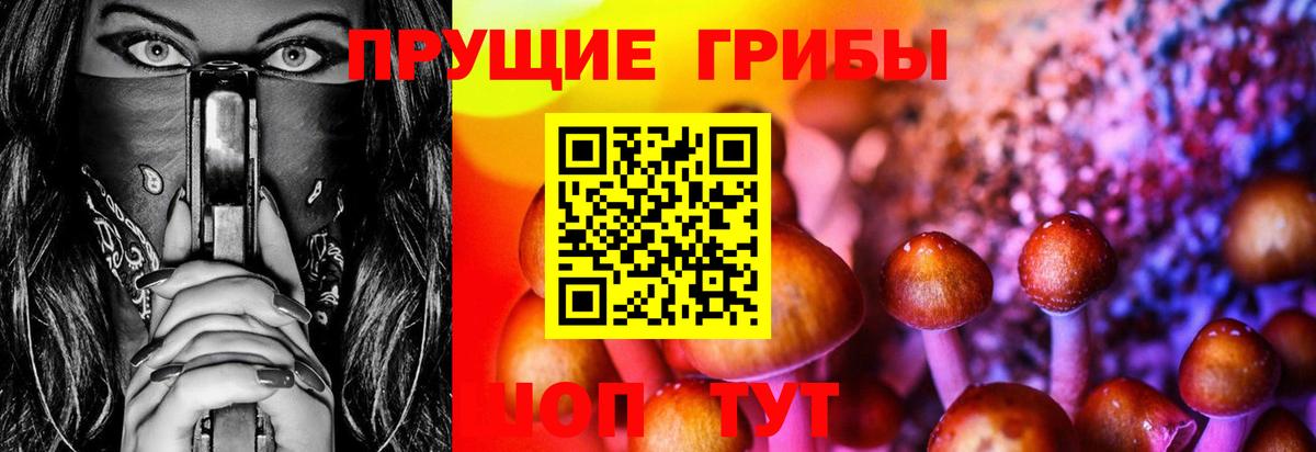 сколько стоит  Псилоцибиновые грибы MAGIC MUSHROOMS  Псилоцибиновые грибы GOLDEN TEACHER  Вход с VPN  Егорьевск 